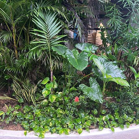 Pura Vida Hostel Tamarindo Kültér fotó