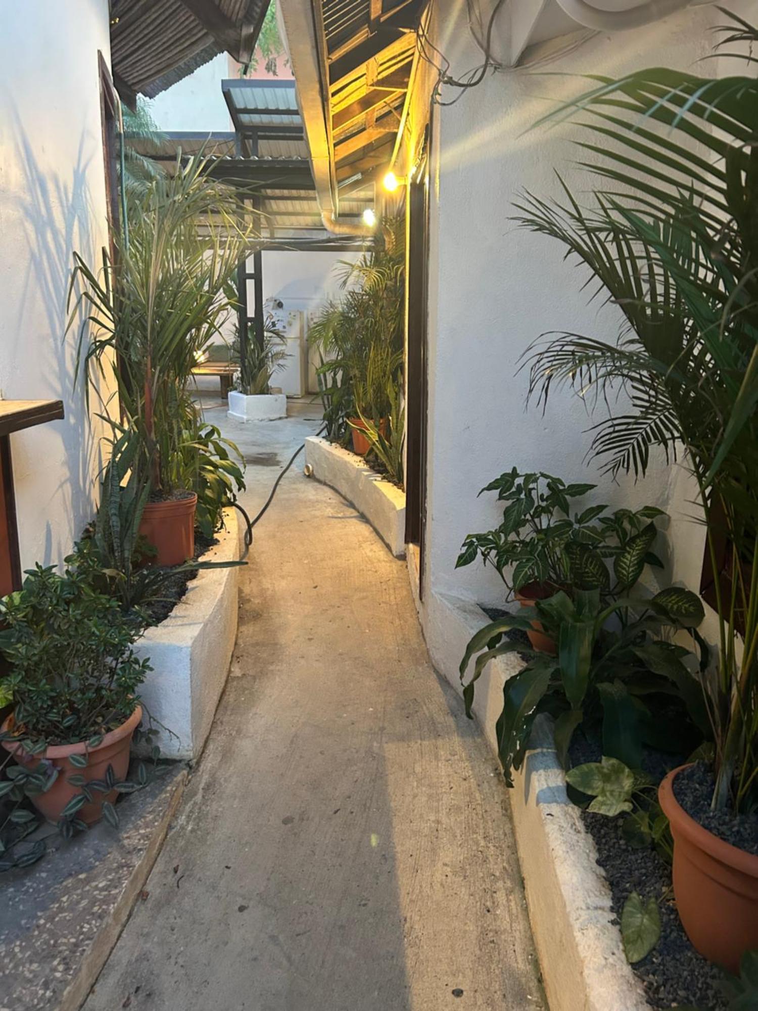 Pura Vida Hostel Tamarindo Kültér fotó