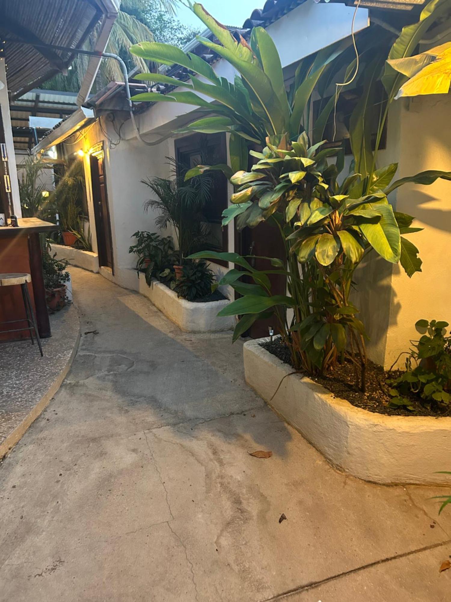 Pura Vida Hostel Tamarindo Kültér fotó
