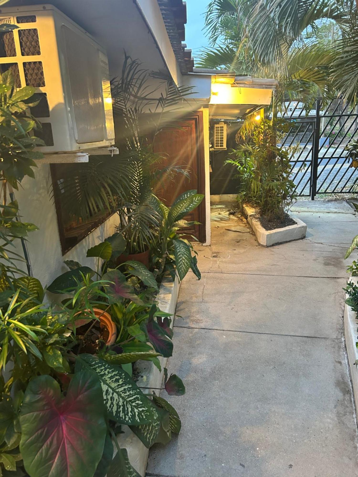 Pura Vida Hostel Tamarindo Kültér fotó