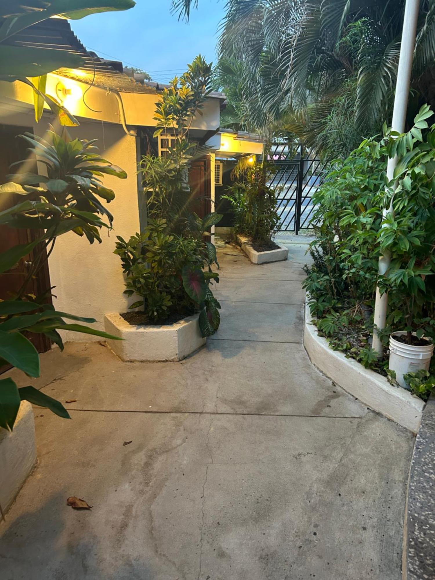 Pura Vida Hostel Tamarindo Kültér fotó
