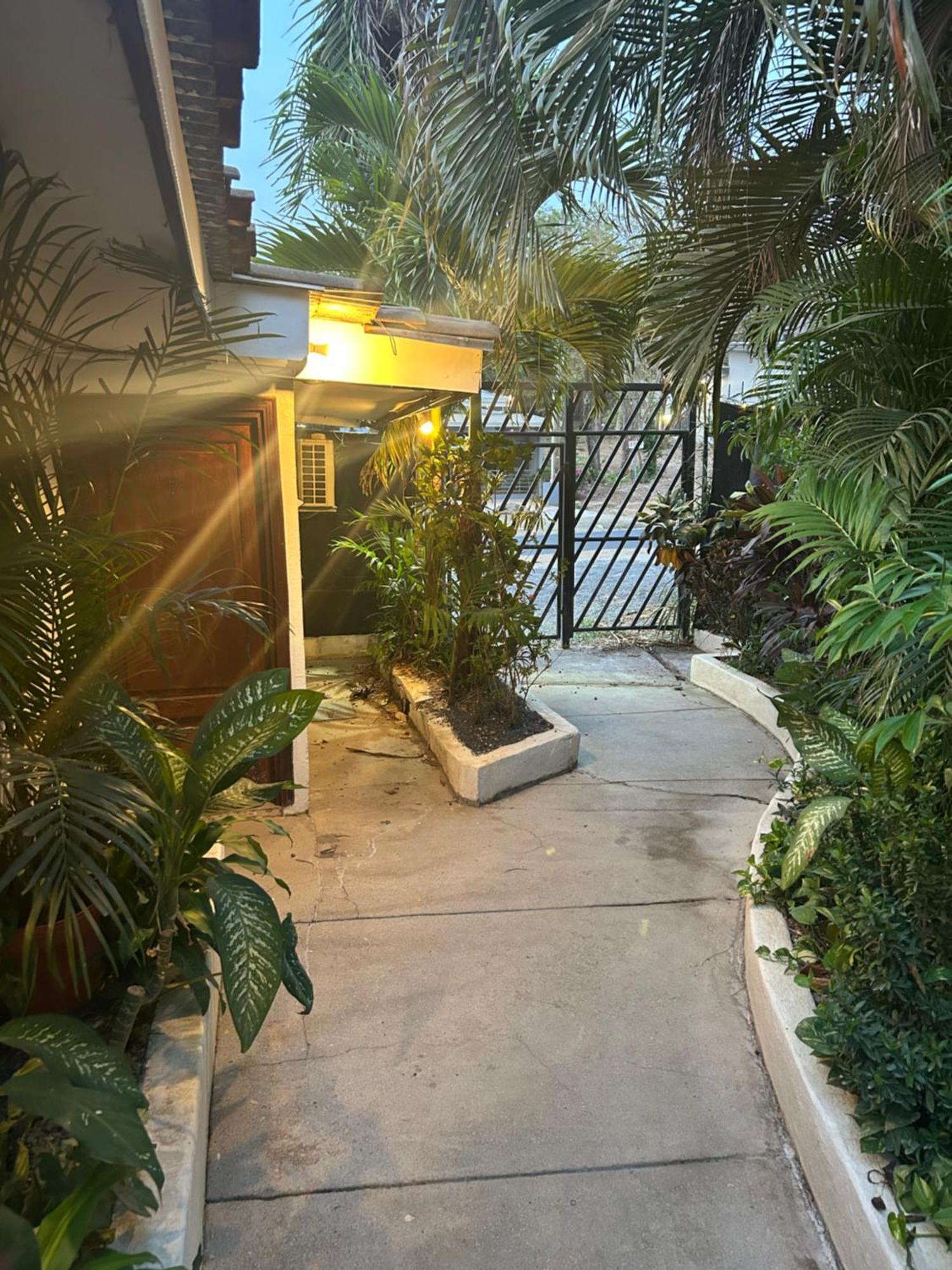 Pura Vida Hostel Tamarindo Kültér fotó